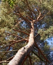 detail_124_1.jpg