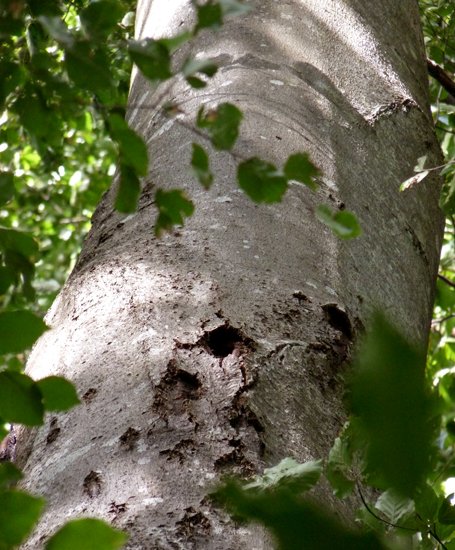 detail_104_2.jpg