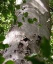 detail_104_2.jpg