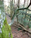 detail_236_2.jpg