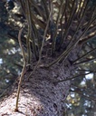 detail_134_2.jpg