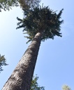 detail_134_1.jpg