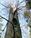 detail_235_1.jpg