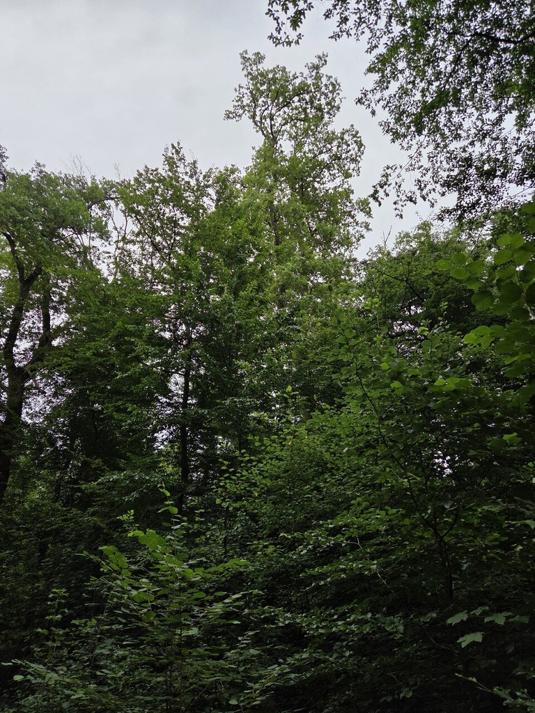 20250716_145622_Easy-Resize.com_.jpg