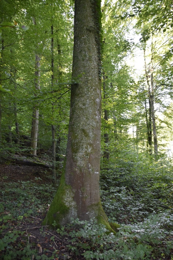 Webpage86001901-2-scaled.jpg