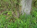 Neue-Freiheit_2_1500px.jpg