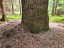 Herr-der-Stuerme_2_1500px.jpg