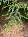Herr-der-Stuerme_4_1500px.jpg