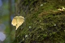 Webpage860019011-3-scaled.jpg