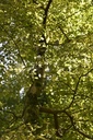 Webpage860019011-4-scaled.jpg