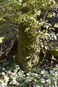 Webpage860019011-5-scaled.jpg