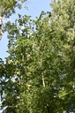 Webpage860019011-6-scaled.jpg