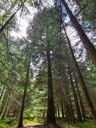 Herr-der-Stuerme_6_1500px.jpg
