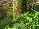 Marteloskop-345_3_1500px.jpg