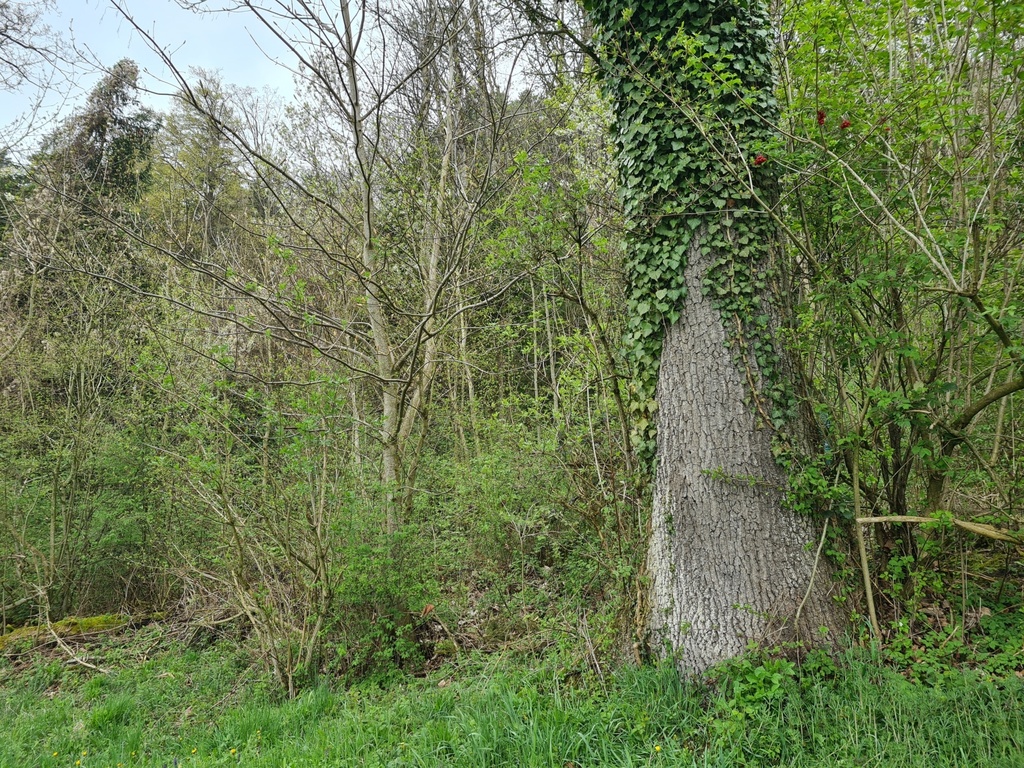 Neue-Freiheit_3_1500px.jpg