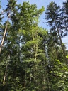 20250718_100819_Easy-Resize.com_.jpg