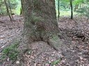 Stuetze-der-4_2_1500px.jpg