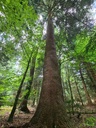 Stuetze-der-4_3_1500px.jpg