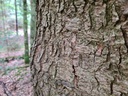 Stuetze-der-4_5_1500px.jpg