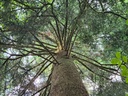 Stuetze-der-4_6_1500px.jpg