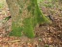 1234567_2_Easy-Resize.com_.jpg