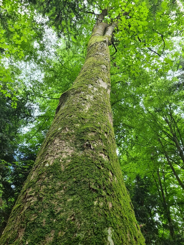 1234567_3_Easy-Resize.com_.jpg