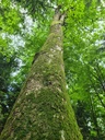 1234567_3_Easy-Resize.com_.jpg