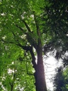 1234567_4_Easy-Resize.com_.jpg