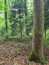 1234567_5_Easy-Resize.com_.jpg