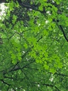 1234567_6_Easy-Resize.com_.jpg
