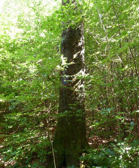 detail_99_2.jpg