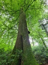 Faustdick_4_Easy-Resize.com_.jpg