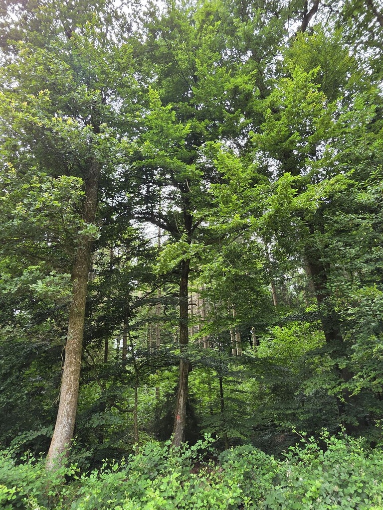 20250716_134132_Easy-Resize.com_.jpg