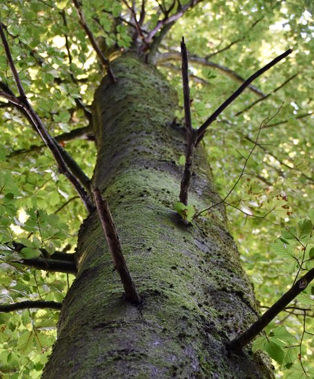 detail_125_2.jpg