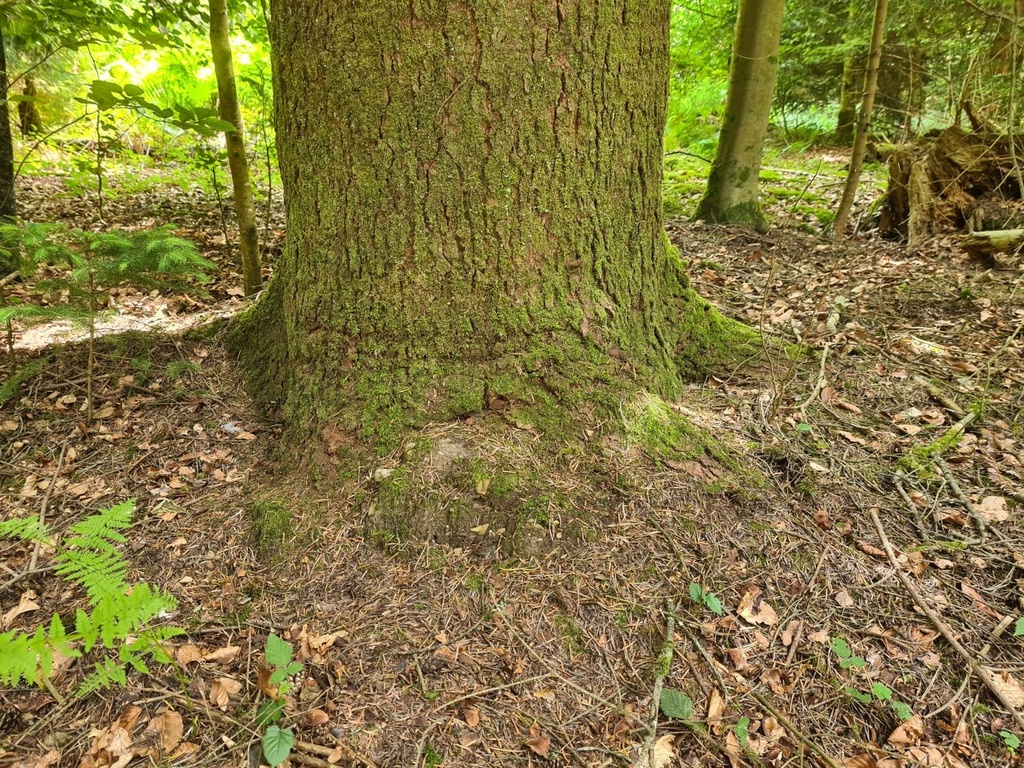 Umarmung-der-4_1_1500px.jpg