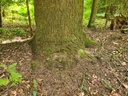 Umarmung-der-4_1_1500px.jpg