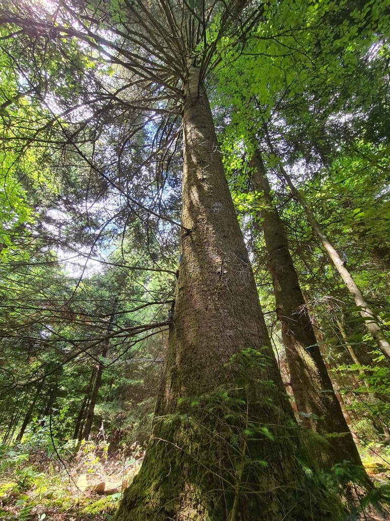 Umarmung-der-4_2_1500px.jpg