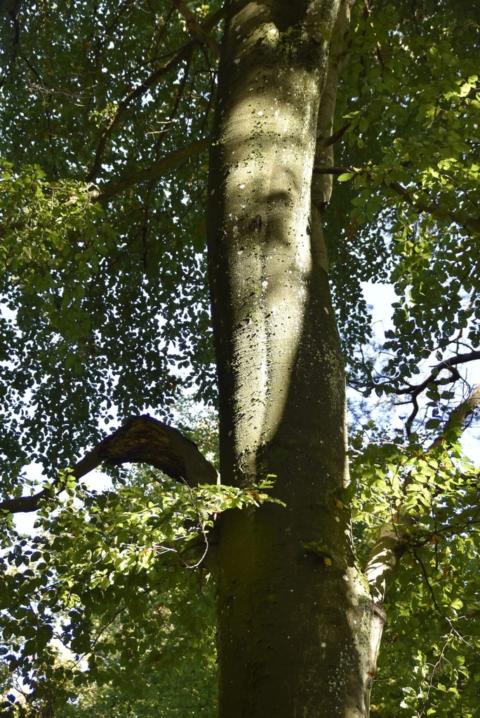 DSC7742Webseite-scaled.jpg