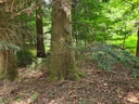 Umarmung-der-4_4_1500px.jpg