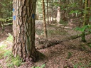 Schirm-der-4_3_1500px.jpg