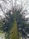 Igel-Zwiesel_4_1500px.jpg