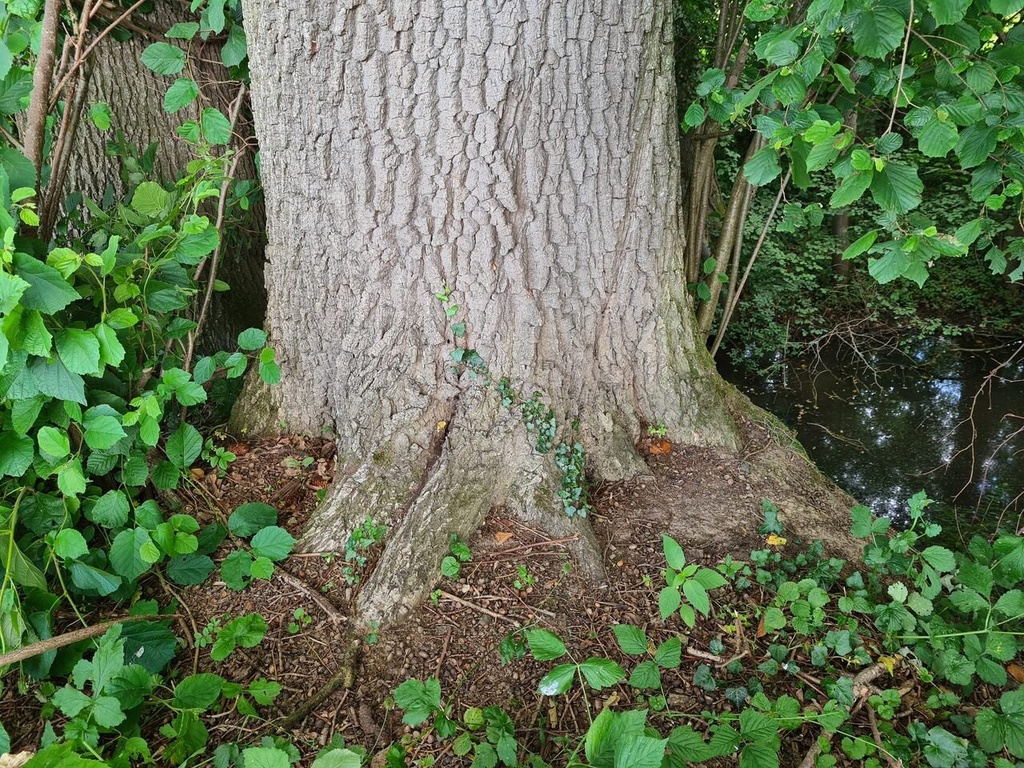 Wundheiler_2_Easy-Resize.com_.jpg