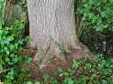 Wundheiler_2_Easy-Resize.com_.jpg