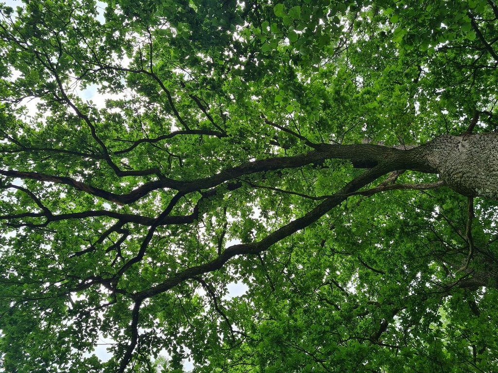 Wundheiler_5_Easy-Resize.com_.jpg