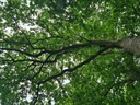 Wundheiler_5_Easy-Resize.com_.jpg