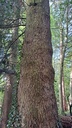 die-wellige-2_Easy-Resize.com_.jpg