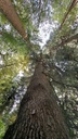 die-wellige-4_Easy-Resize.com_.jpg