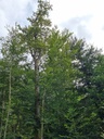 Noeppeli-4_Easy-Resize.com_.jpg