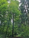 Hallo-Wo-4_Easy-Resize.com_.jpg