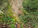 Ueberholspur_3_1500px.jpg